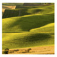 land